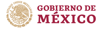 Gobierno de méxico